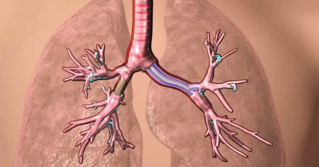 كيف يتم وضع دعامات (stent)الرئة